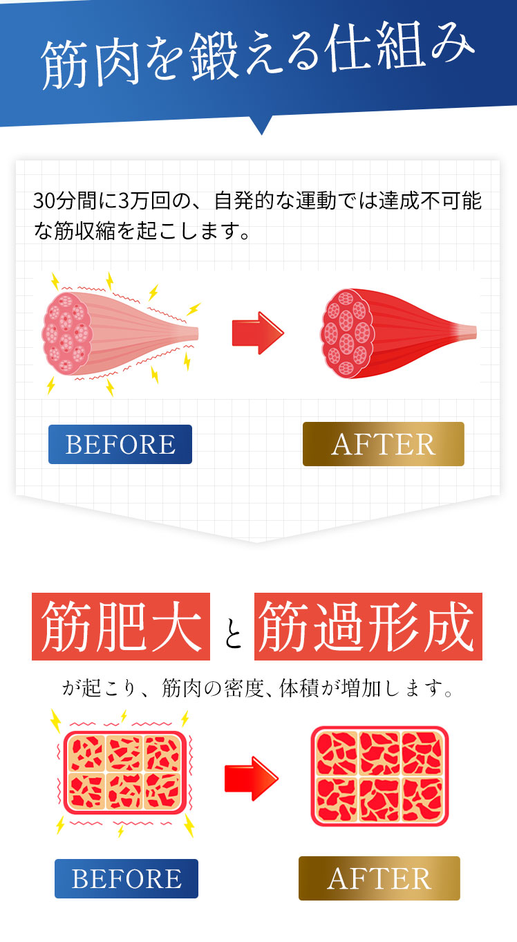 筋肉を鍛える仕組み